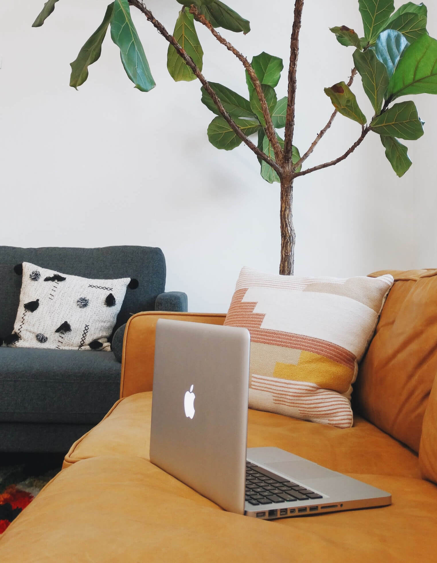 Picture of laptop, couch, and tree